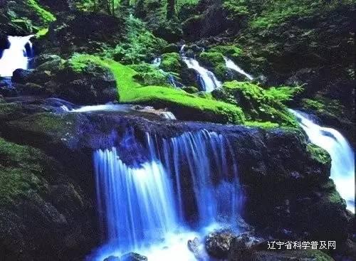 机智问答网页-探索智慧的羽绒服和羊毛衫哪个暖和世界