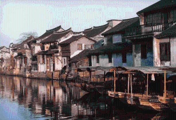 动物帮帮忙保卫家园